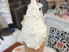 -野人先生Gelato(上海长宁龙之梦店)
