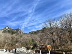 -朱雀国家森林公园
