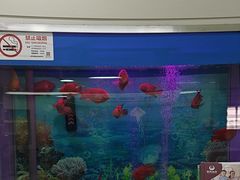 -雅悦齿科(顾村公园店)