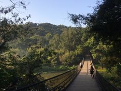 -南宁良凤江国家森林公园