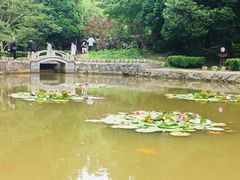 -庐山风景区花径公园