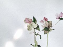 -八哥美术·成人美术画室(总校区)