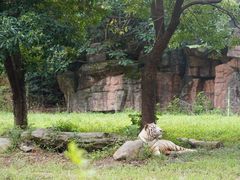 -杭州野生动物世界