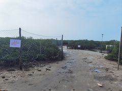 -红树林天天赶海