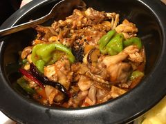 黑松茸牛肝菌牛蛙-云海肴·汽锅鸡·云南菜(天山百盛优客店)