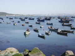 -海源公园