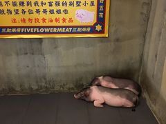 -齐齐哈尔特色烤肉
