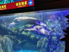 -太平洋海底世界