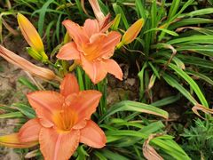 -汉长安城未央宫国家考古遗址公园