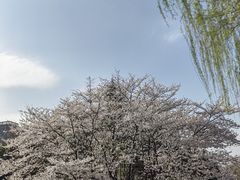 -堤角公园