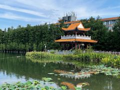 -东山湖公园