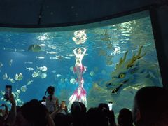 -海合安武汉极地海洋公园