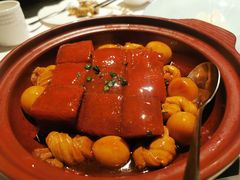 百叶结红烧肉-申粤轩酒楼·三十年粤菜经典(丁香花园店)