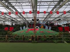 -兰陵国家农业公园