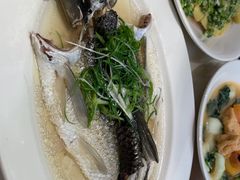 -稻香酒家·35年老字号(侨光店)