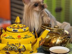 -如意林卡藏餐吧 (九寨沟店)