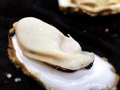 -大富蚝乌东哥饭店·石锅鱼杂·柠檬鸭(革新路店)
