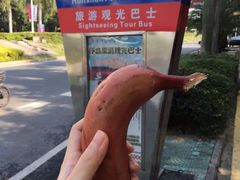 -胡里山炮台