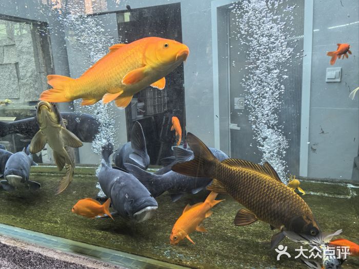 又见炊烟私房菜(敬亭路店)图片