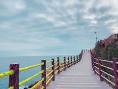 -广东惠东海龟国家级自然保护区