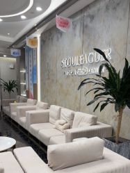 -上海首尔丽格医疗美容医院