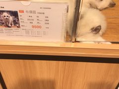 -狗道宠物(常熟印象城店)