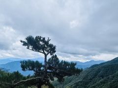 -牛背梁国家森林公园