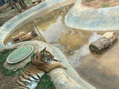 -昆明动物园