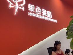 -单色舞蹈