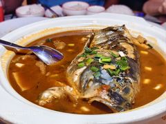 -新白鹿餐厅(百联中环店)