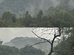 -西湖风景区十里琅珰-五云山