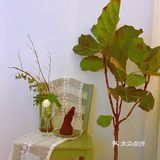 长沙|在花丛中吃饭是一种什么样的体验？
