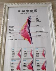 -成都伊贝丝美容美胸SPA会所