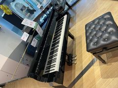 -柏斯音乐艺术中心·钢琴·吉他(世纪金源店)