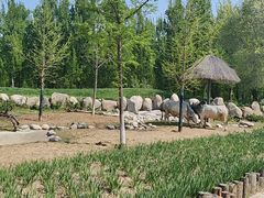 -北京野生动物园