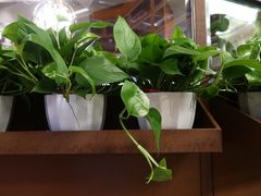 -华豫川酒家(大卫城店)