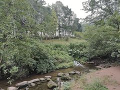 -重庆彩云湖湿地公园