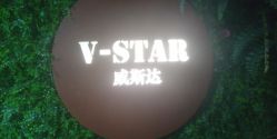 点击看大图 -V-STAR威斯达•高级私人定制