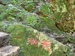 -天女山森林公园