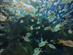 -成都浩海立方海洋公园