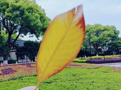 -盘门景区
