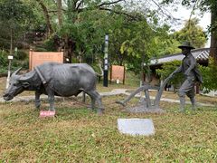 -广州神农草堂中医药博物馆