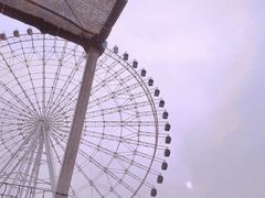 -凤凰欢乐大世界