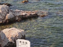 -养马岛旅游度假区