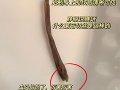-粤西稻里(富力路店)