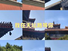-雍和宫