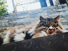 -旧雨咖啡·CoffeeFORU(黄村奥体店)