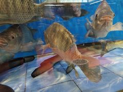 -渔米粥(罗湖店)