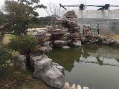 -呼吸森林·生态农庄农家乐私房菜