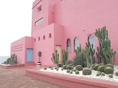 -漳州滨海火山岛自然生态风景区